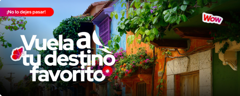 Vuela a tu destino favorito